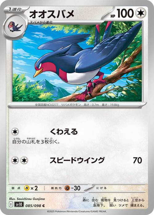 Swellow Card Front