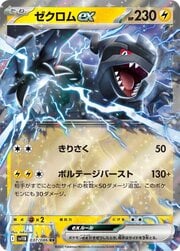 Zekrom ex