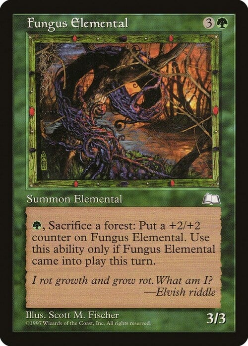 Elementale dei Funghi Card Front