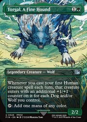 Torgal, A Fine Hound