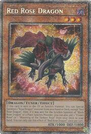 Red Rose Dragon