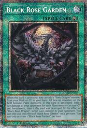 Black Rose Garden