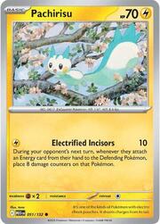 Pachirisu