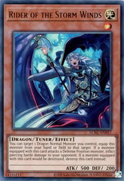 Rider of the Storm Winds