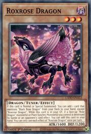Roxrose Dragon