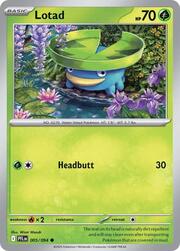Lotad