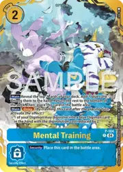 Mental Training
