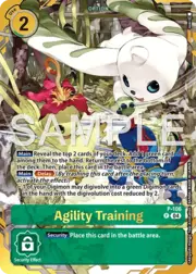 Agility Training