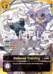 Defense Training