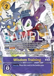Wisdom Training