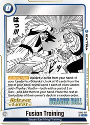 Fusion Training