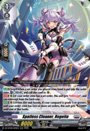 Spatless Cleaner, Regelia
