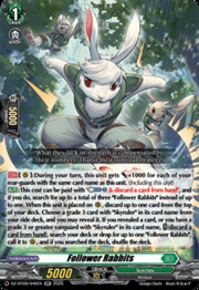 Follower Rabbits