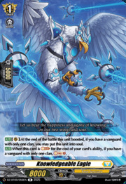 Knowledgeable Eagle