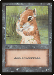 Squirrel