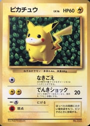 Pikachu Lv.16