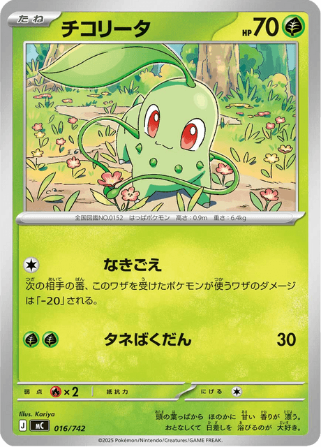 Chikorita