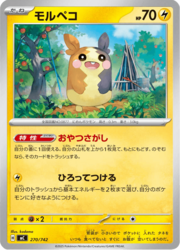 Morpeko