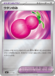 Payapa Berry