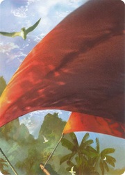 "Treasure Island" Macro Puzzle Card