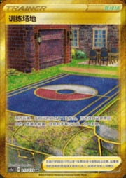 Training Court