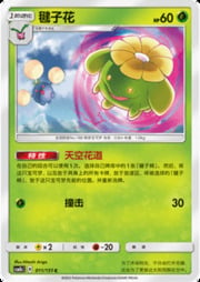 Skiploom