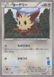 Lillipup