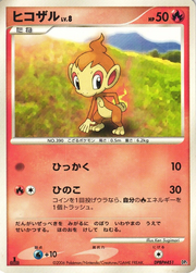 Chimchar Lv.8