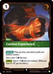 Combat Experience