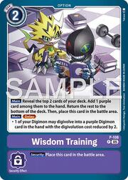 Wisdom Training
