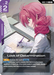 Look of Determination