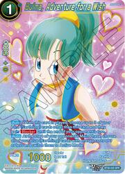 Bulma, Adventure for a Wish