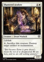 Shattered Acolyte
