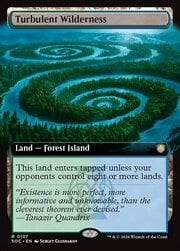 Turbulent Wilderness