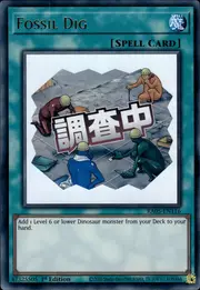 Fossil Dig