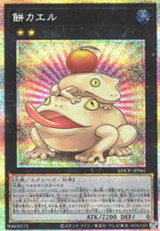 Toadally Awesome