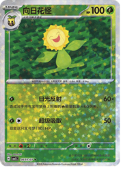 Sunflora