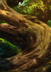 "Heart of Fyendal" Macro Puzzle Card