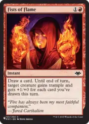 Fists of Flame