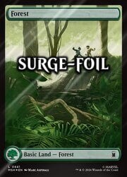 Forest