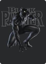 Black Panther, Hope Enduring