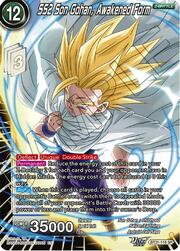 SS2 Son Gohan, Awakened Form