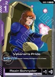 Veteran's Pride