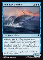 Humpback Whales