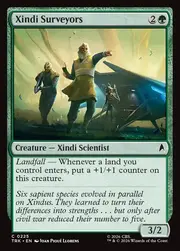 Xindi Surveyors