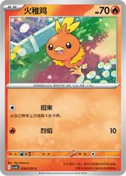 Torchic