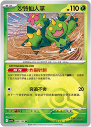 Maractus