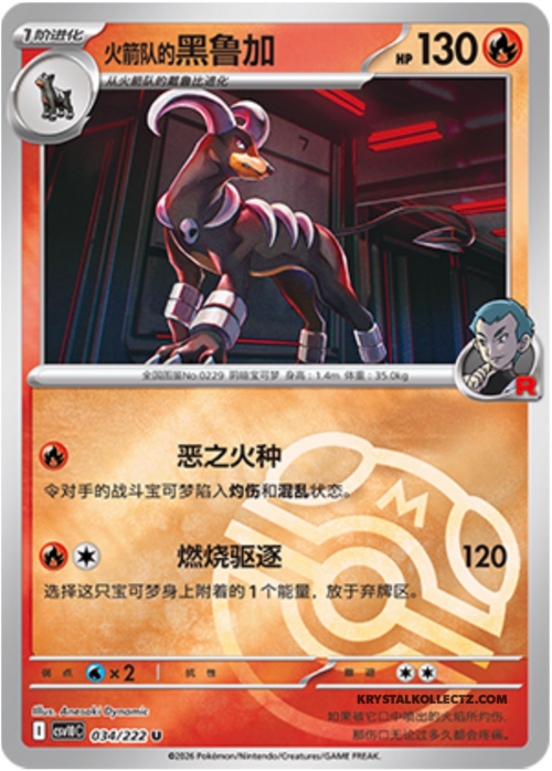 Team Rocket's Houndoom