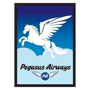 50 Fundas Pegasus Airways