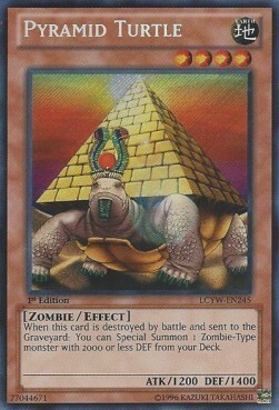 Tartaruga Piramide Card Front